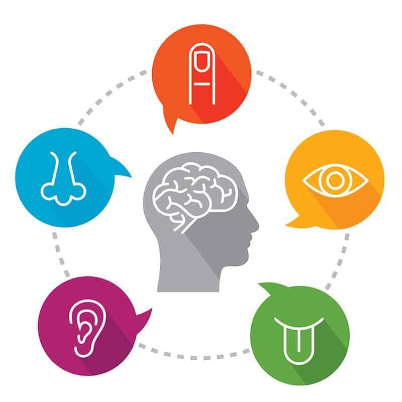 Zaburzenia integracji sensorycznej i autyzm