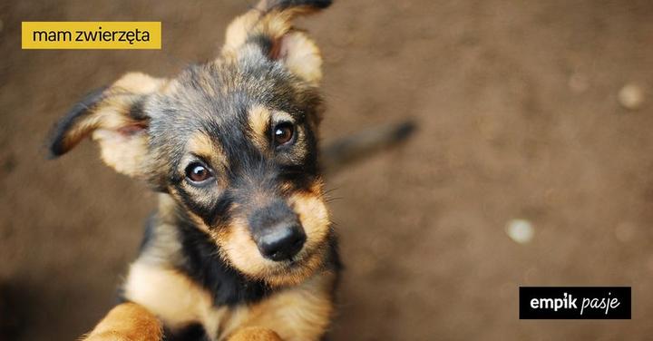 Samotna matka a adopcja
