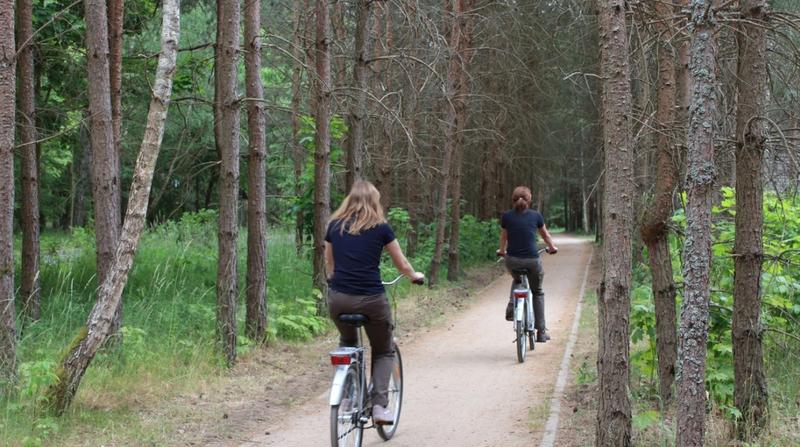 Rodzinne wycieczki rowerowe z dziećmi