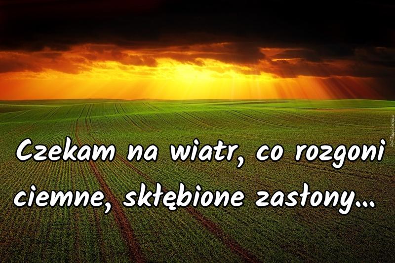 Emocje osobiste i kontekst społeczny