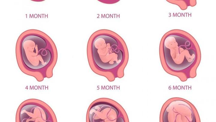 Stymulacja rozwoju dziecka w ciąży