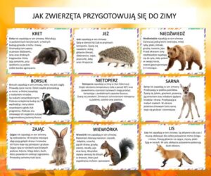 Zimowi śpiochy – odkrywamy zwierzęta, które zasypiają na zimę i inspirujemy przedszkolaków do zabawy