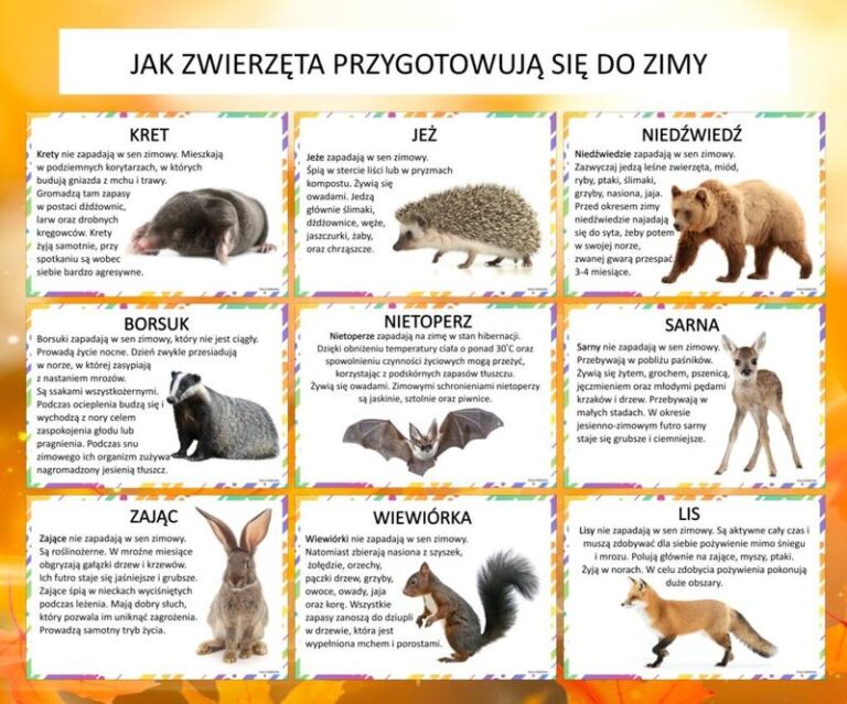 Zimowi śpiochy – odkrywamy zwierzęta, które zasypiają na zimę i inspirujemy przedszkolaków do zabawy