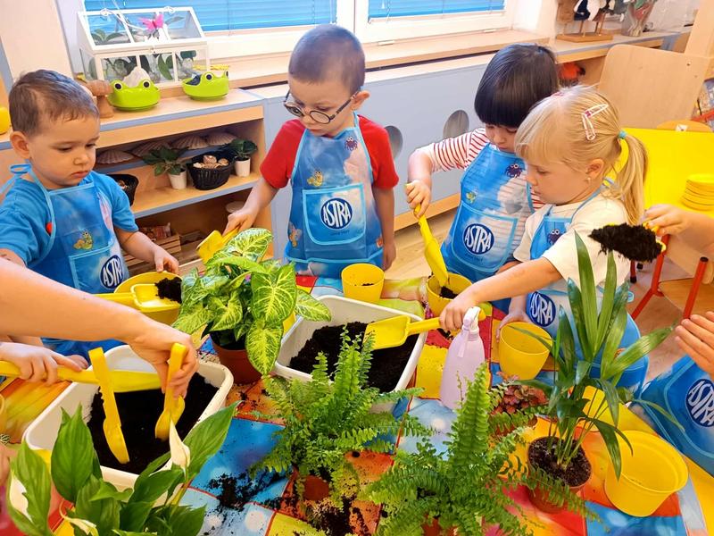 Przeniesienie dziecka