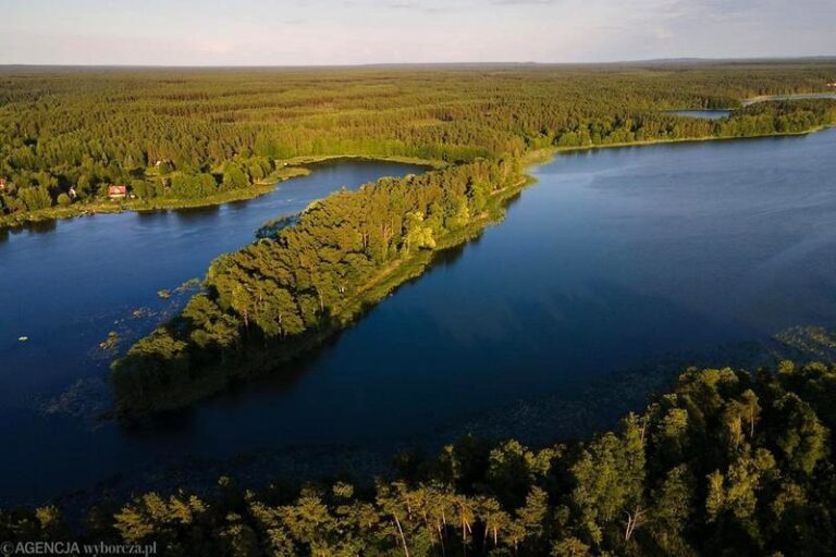 Jak w prosty sposób wyłączyć TIDAL w Play i uniknąć dodatkowych opłat