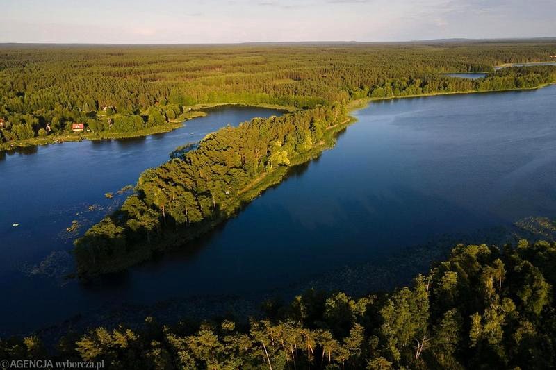 Jak w prosty sposób wyłączyć TIDAL w Play i uniknąć dodatkowych opłat