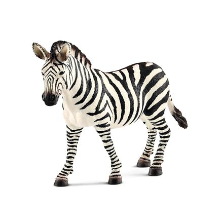 Kolorowa zebra dla dzieci