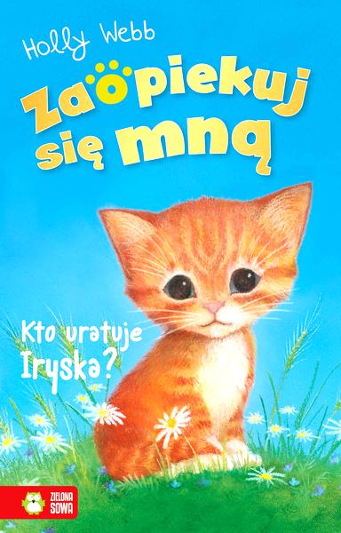 Wpływ na polską scenę muzyczną