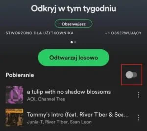Ile internetu zużywa Spotify: konkretne liczby i jak oszczędzać