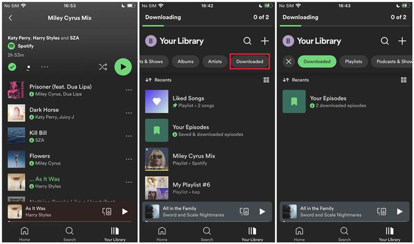 Spotify Premium offline