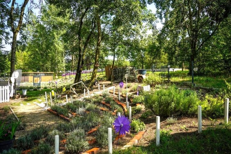 Ogrody sensoryczne – definicja, korzyści i zastosowania w praktyce